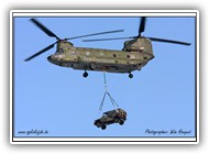 2010-01-06 Chinook RNLAF D-667_1